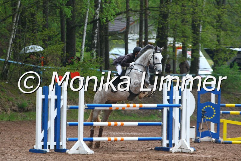 005L5505_Stechen Mx.JPG